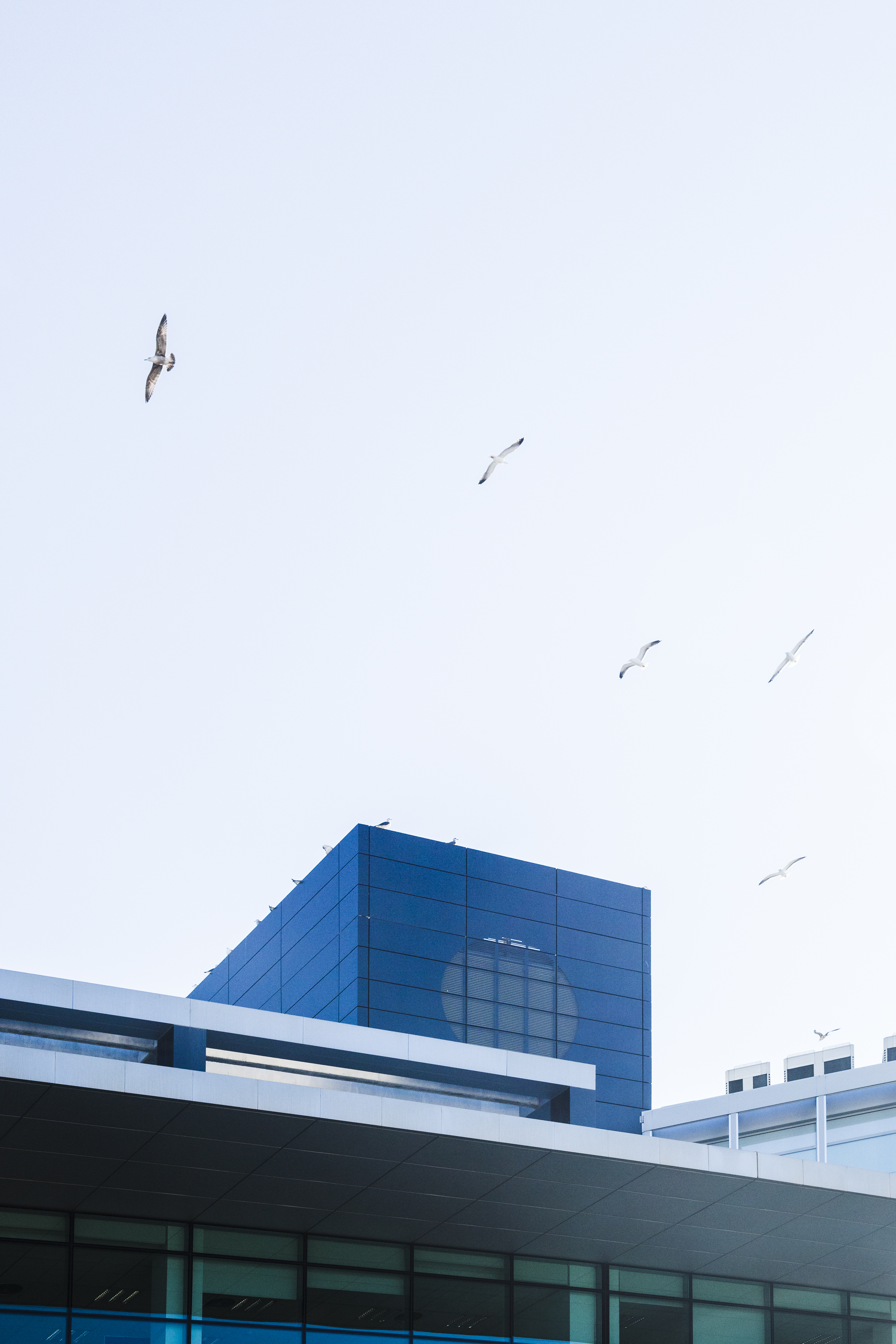 حلولنا الفنية